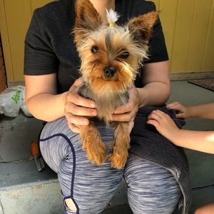 Meet your Posher, Justin